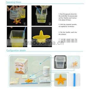 Crystal Growing Lab to Observe Crystals Formation thumbnail-1