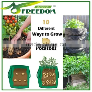 PE High Strength Ground Growing Bag thumbnail-1