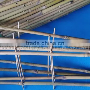 Cheap Bamboo Trellis Assemble by Yourself for Economical Shipping Cost thumbnail-1
