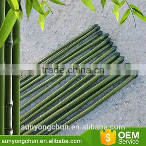Cheap Factory Direct Supply Agriculture Garden PVC Coated Pole and Color Bamboo Cane thumbnail-1