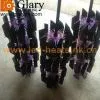 Black Anodized Aluminum 6063 Extruded LED Planar Heatsinks/Radiator/Coolers thumbnail-1