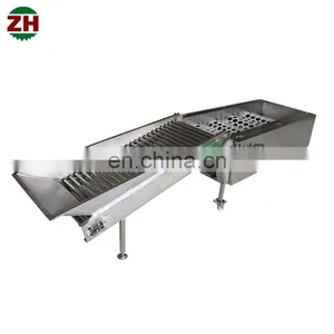 Fruit and Vegetable Sorting Machine Fruit Size Sorting Machine Apple Grading Machine thumbnail-3