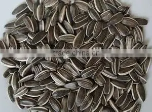 Hulled Sunflower Seeds thumbnail-2