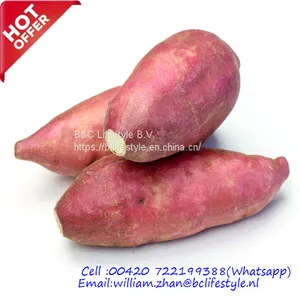 Sweet Potatoes thumbnail-1