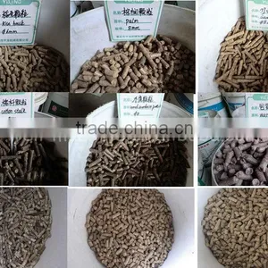 Biomass Pellet Machine thumbnail-1