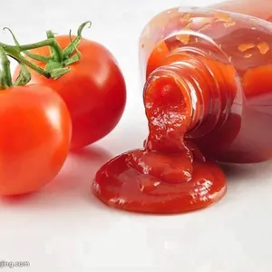Small Capacity Tomato Ketchup Production Line Tomato Paste Making Machine Turkey thumbnail-3