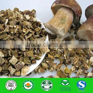Fibrin Dried White FUNGUS MUSHROOM 2016 thumbnail-1