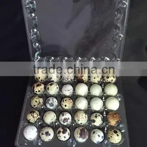 Good Quality Disposable Plastic Quail Eggs Tray 30 Holes Quality Choice thumbnail-3
