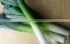Organic Fresh Leeks thumbnail-1