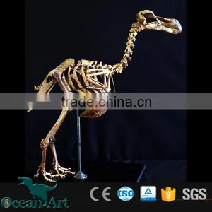OA-DS-16051301 Replicated Dinosaur Fossils thumbnail-6