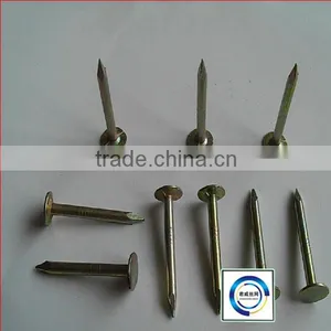 Factory Common Wire Nails thumbnail-1