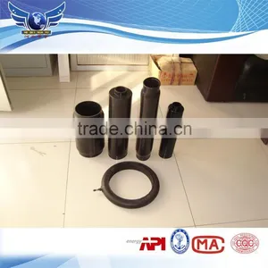 Electric Submersible Pump Capsule thumbnail-1