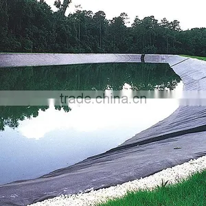 Good Quality Best Price Fish Farm Pond Liner HDPE Geomembrane thumbnail-2