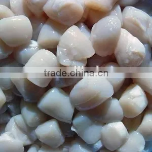 Frozen Shell Meat Scallop Meat thumbnail-2