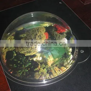 Wall Mounted Acrylic Fish Bowl thumbnail-1