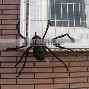 Spider Queen Black Widow Halloween Makeup thumbnail-1