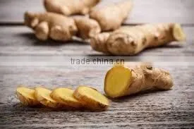 FRESH GINGER AND DRIED GINGER VIETNAM PACKING IN MESH BAG OR CARTON thumbnail-6