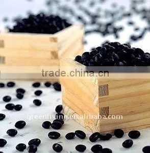 Chinese Black Bean thumbnail-1
