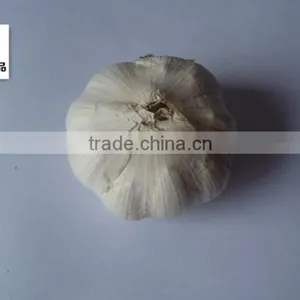 Dehydrated Vegetable Air Dried White Garlic thumbnail-1