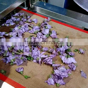 Microwave Flower Dryer and Sterilization Equipment thumbnail-3