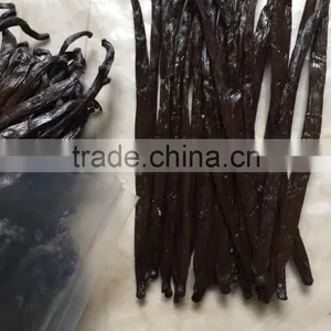 Vanilla Beans thumbnail-1