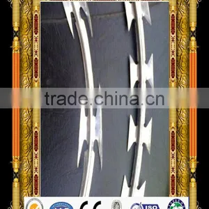 Chaina Whosale Razor Barbed Wire Spike Strips thumbnail-1