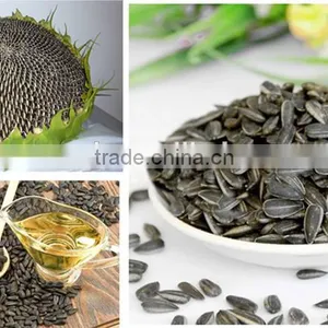 Neweek Supply 3 Shafts Oil Sunflower Seed Thresher Machine thumbnail-4