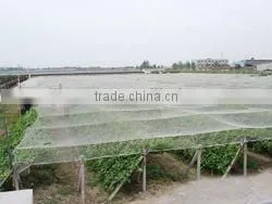 Long Life Quality Guarantee UV Resistant HDPE Sun Shading Netting Shadow Net Mesh Cloth thumbnail-6