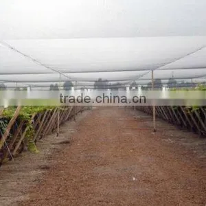 Anti Bird Net for Farming thumbnail-6