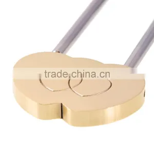 2016 New Combination MINI Solid Brass Love Wish Lock Double Heart Pad Lock Love for Lovers thumbnail-4