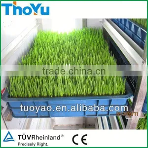 THOYU Brand Salable Germinator With Best Price(Mob:+86-15903675071) thumbnail-1
