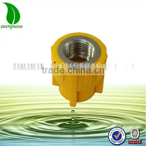 PPR Pipe Fittings Female Coupling thumbnail-1
