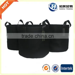 Oyster Mushroom Grow Bag thumbnail-2