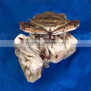 Frozen Crab Cakes thumbnail-1
