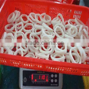 Deep Sea Quailty Frozen Squid Ring thumbnail-1