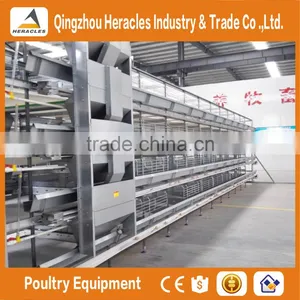Trade Assurance Automatic Poultry Equipment/layer Chicken Cage thumbnail-5