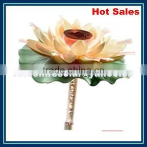 Effective Solar Water Light thumbnail-1