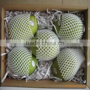 Fresh Guava Hot Sale Fruit Protection Net for Fruit thumbnail-1