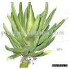 Sell Artificial Aloe thumbnail-1