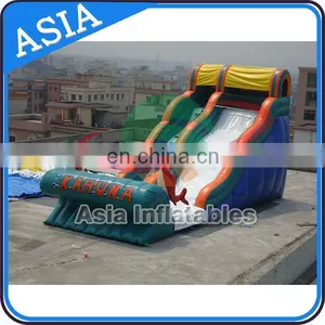Sunshine Dolphins Playground Inflatable Water Slide thumbnail-1
