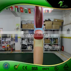 Custom Vivid Inflatable Kidney Replica , PVC Inflatable Artificial Organ Balloon , Inflatable Display Body thumbnail-3