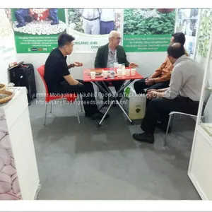 High Quality Chinese Striped Sunflower Seeds 601 thumbnail-3