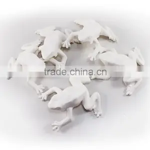 3D Animal Paper Mache Pack of 5 - Frog thumbnail-1