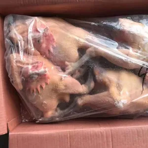 Black Feet Chicken Frozen Whole Raw Chicken China Wholesale Low Price thumbnail-3
