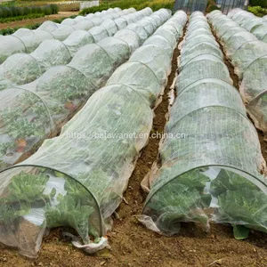 Hdpe Agricultural Plastic Mesh Fruit and Vegetable Insect Net Vegetable Farm Insect thumbnail-1