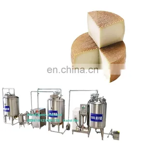 Factory Hot Sales Machine to Make Cheese thumbnail-1