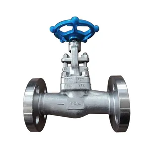 High Quality American Standard Stainless Steel Flange Check Valve thumbnail-1