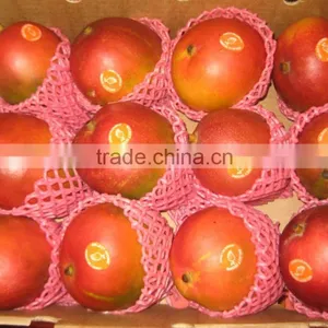 EPE Foam Net For Fruit And Bottle thumbnail-1