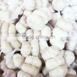 White Garlic Price thumbnail-1