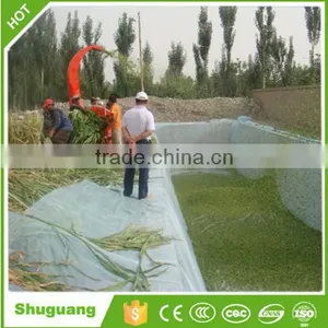 Dairy Cattle Feed thumbnail-3
